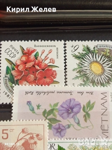 Стари пощенски марки от цял свят смесени ЦВЕТЯ,ГЪБИ за КОЛЕКЦИОНЕРИ 52012, снимка 4 - Филателия - 53198174