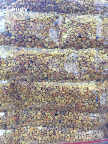 Пчелен прашец, снимка 3 - За пчели - 32782620