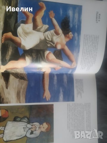 книга-пикасо, снимка 3 - Енциклопедии, справочници - 32616791