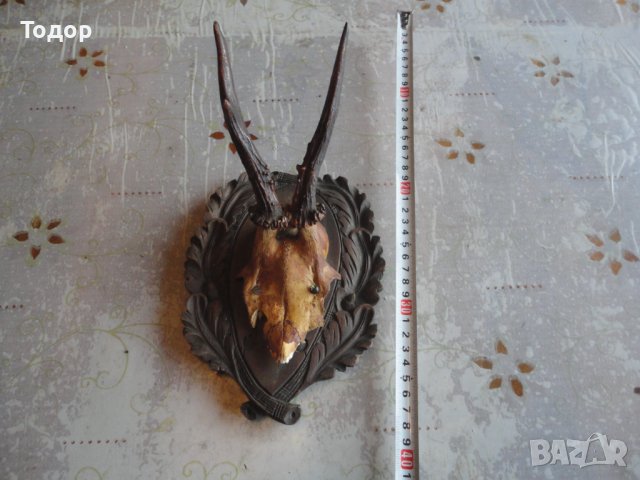 Уникален немски ловен трофей дърворезба 8