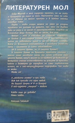 Морето нека да ми каже: Стихове и песни за морето. Борислав Мирчев Поезия 2015 г. + CD, снимка 6 - Художествена литература - 27770050