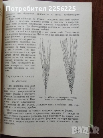 Растениевъдство, снимка 7 - Специализирана литература - 50959701