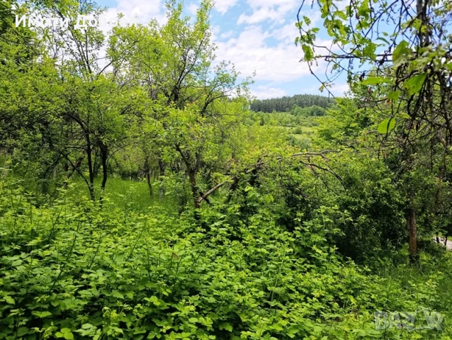 Имот в гр. Троян - спокоен квартал, снимка 5 - Парцели - 50514113