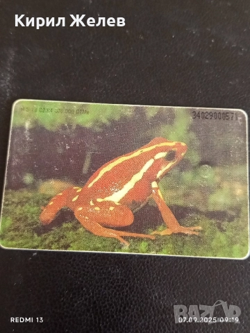 Три фонокарти серия ЖИВОТНИ,НАЦИОНАЛНИ ПАМЕТНИЦИ редки за КОЛЕКЦИЯ ДЕКОРАЦИЯ 50911, снимка 9 - Колекции - 51630390