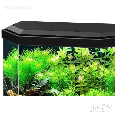 "ПРОМОЦИЯ" Аквариум Ciano Aqua 30 - черен, снимка 3 - Аквариуми - 49779595