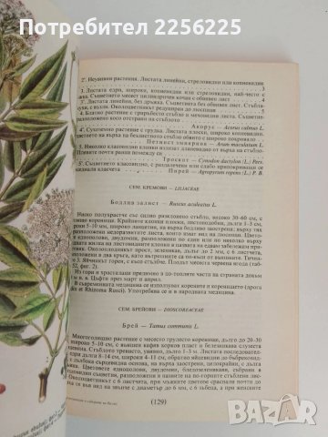 ЛОТ Здраве от аптеката, снимка 4 - Специализирана литература - 51100347