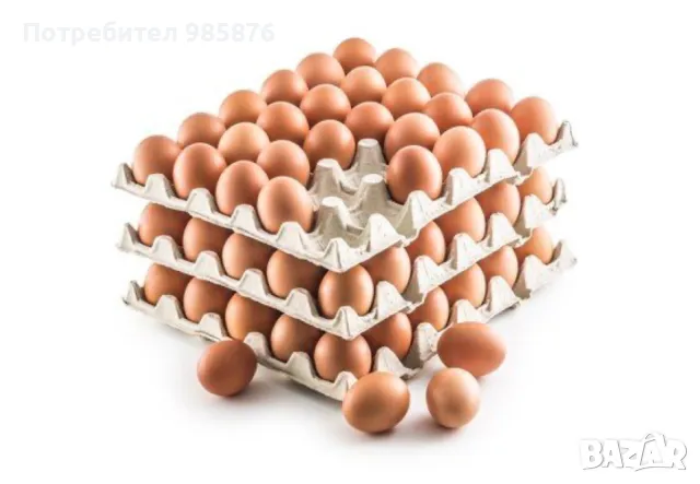 Домашни яйца от свободни кокошки , снимка 2 - Домашни продукти - 50209262