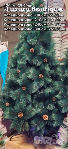 елха с шишарки