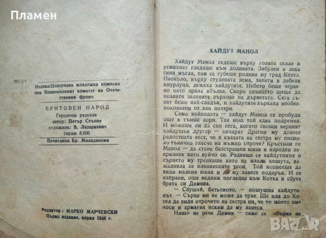 Бунтовен народ Петър Стъпов , снимка 2 - Художествена литература - 53524266