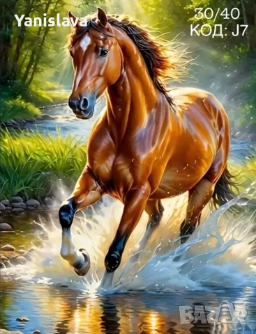 Диамантени гоблени за изработка ✅, снимка 4 - Гоблени - 41323562