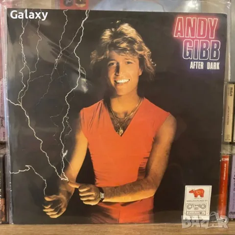 Andy Gibb – After Dark  1980 Vinyl, LP, снимка 2 - Грамофонни плочи - 48595950