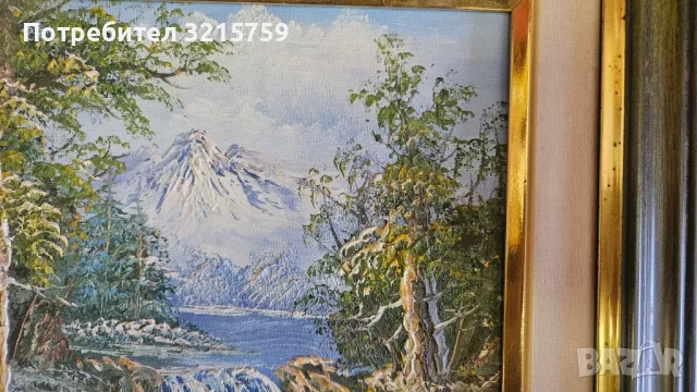 Красива картина масло , платно 40х34см., снимка 5 - Картини - 50413237