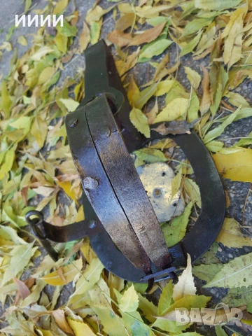 Голям стъпков капан със зъби 2