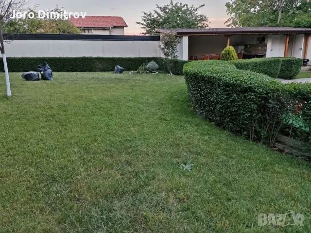 Поддръжка/Рязане на овошки и опасни дървета/Почистване на терени/Пръскане и изкореняване, снимка 12 - Други услуги - 48229616