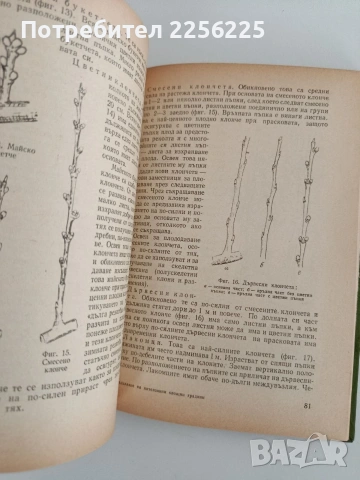 Създаване на интензивни овощни градини , снимка 4 - Специализирана литература - 53113055