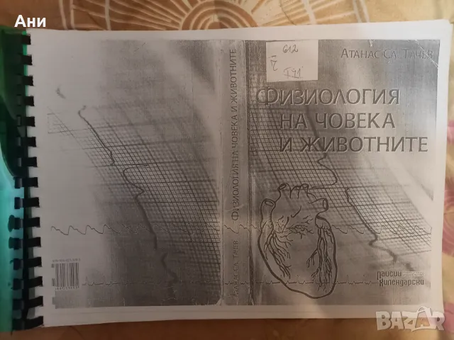 Учебни материали Биология , снимка 5 - Учебници, учебни тетрадки - 36333758