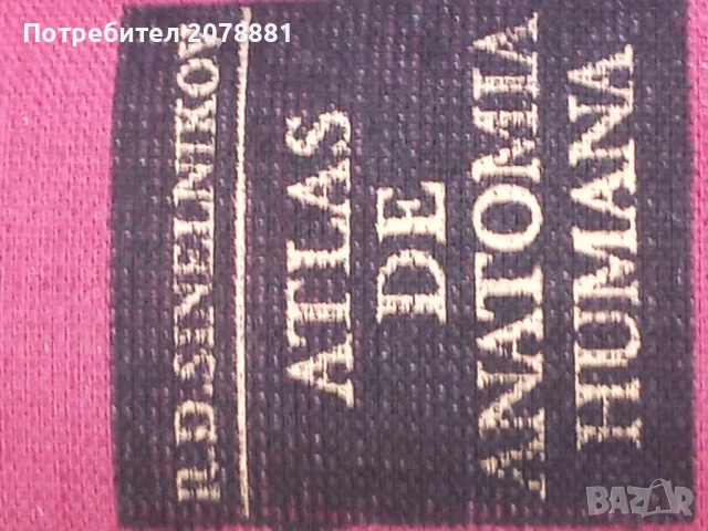 Атлас по Анатомия 2 том, снимка 3 - Специализирана литература - 51771645