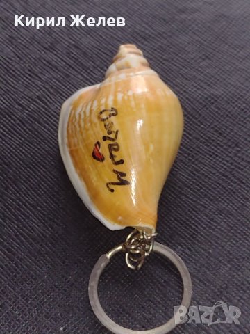 Ключодържател сувенир от морето екзотичен рапан много красив 42652, снимка 4 - Други - 43682244