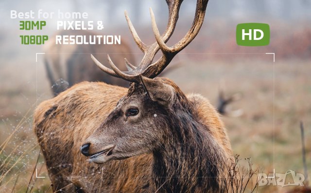 Ловна камера CEYOMUR CY50 с карта 32 GB и АДАПТЕР, снимка 12 - Оборудване и аксесоари за оръжия - 43774052