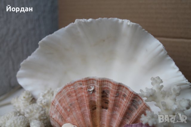 Чудесна нощна лампа, снимка 5 - Настолни лампи - 43534119