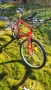 Велосипед / планински бегач, снимка 2