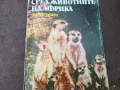 СРЕД ЖИВОТНИТЕ НА АФРИКА 1102250612, снимка 3