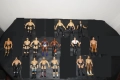 17 Кеч Фигури Stone Cold/The Rock/Chris Jericho/Cryme Tyme/Jeff Hardy/Alberto Del Rio/Wade Barret/, снимка 1