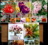 Голяма енциклопедия на цветята. Том 2, 3, 4, 5, 7