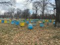 Многокорпусни кошери със пчелни семейства. Пчели/Пчелни семейства, снимка 1 - За пчели - 44053489