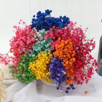 Сухи ситни цветя Гипсофила Гипсофил цветчета цветенца клонки сноп букет аранжиране бутониери сапун, снимка 9 - Изкуствени цветя - 36142609