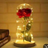 роза в стъкленица , снимка 2 - Романтични подаръци - 43262217