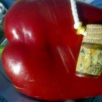 A handmade amber pendant that will emphasize your individuality / Ein handgefertigter Bernsteinanhän, снимка 9 - Колиета, медальони, синджири - 33336339