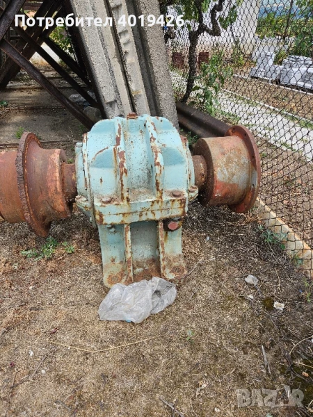 ос огромна, снимка 1