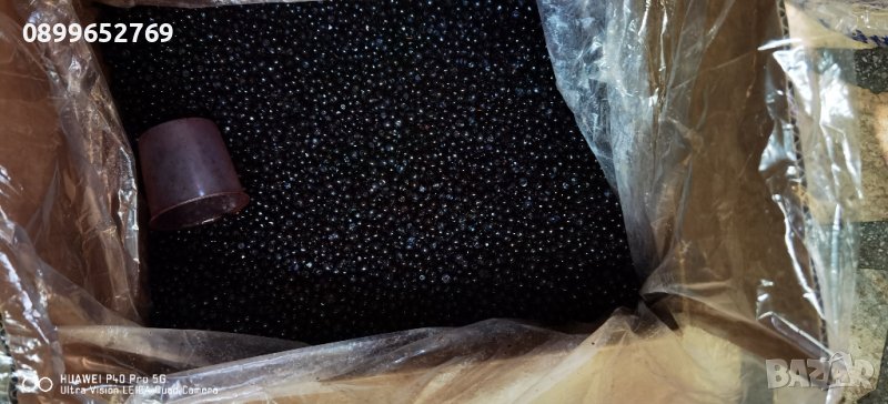 Черна дива боровинка(Замразена соло) , снимка 1