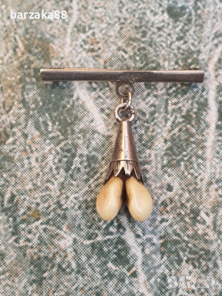 Стар сребърна брошка със зъби от Кошута, снимка 1