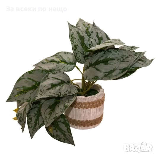 Декоративно растение в кашпа, 18 см Код P1109, снимка 1