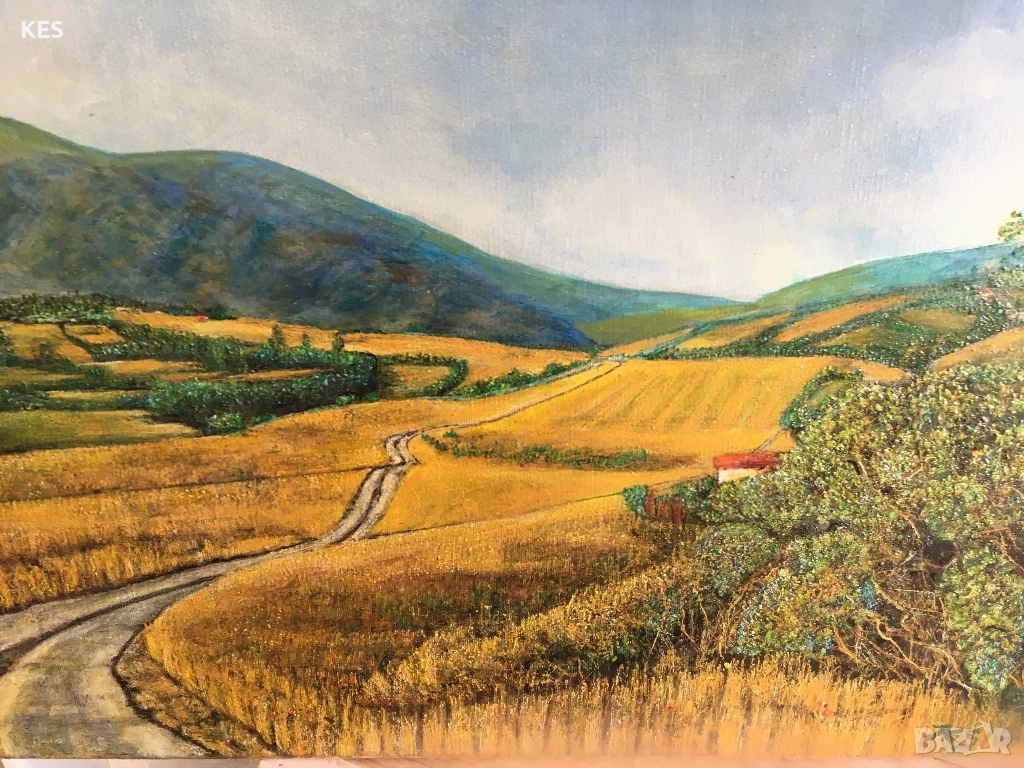 Гледка към Витоша, снимка 1