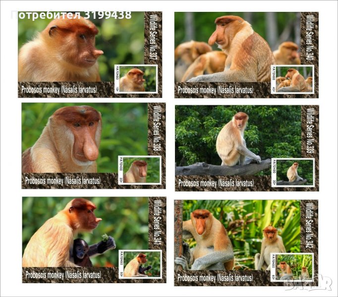 Чисти блокове Фауна Дългоноса маймуна 2020 от Тонго, снимка 1