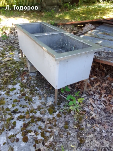 Голяма неръждаема мифка, снимка 1