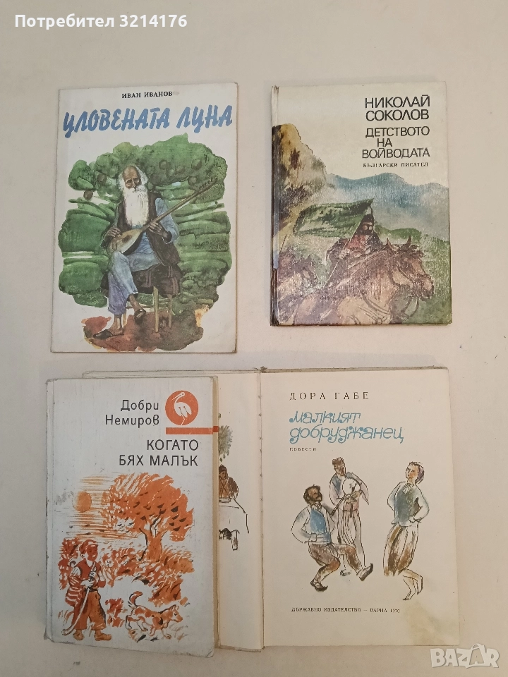Детството на войводата - Николай Соколов, снимка 1