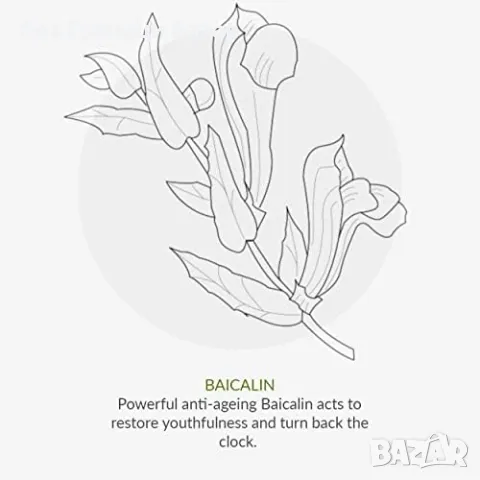 Нов мини комплект за лице Хидратиращ крем, почистващ гел и SPF15 защита, снимка 5 - Козметика за лице - 48004187