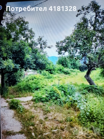 Продавам къща с двор ,до язовир Цонево. , снимка 2 - Къщи - 52810979