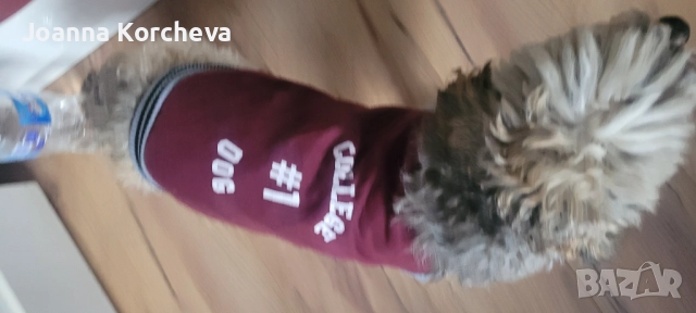 Кучешко яке , снимка 3 - За кучета - 52947722