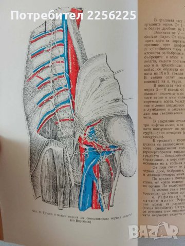 "Нервни болести", снимка 3 - Специализирана литература - 47481969
