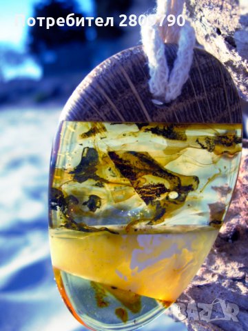 Приказна висулка от естествен балтийски кехлибар / Fabulous Pendant made of Natural Baltic Amber, снимка 13 - Колиета, медальони, синджири - 33332781