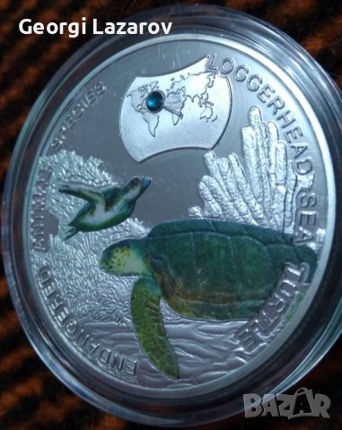 1000 квача Замбия 2014 костенурки, снимка 4 - Нумизматика и бонистика - 39006374