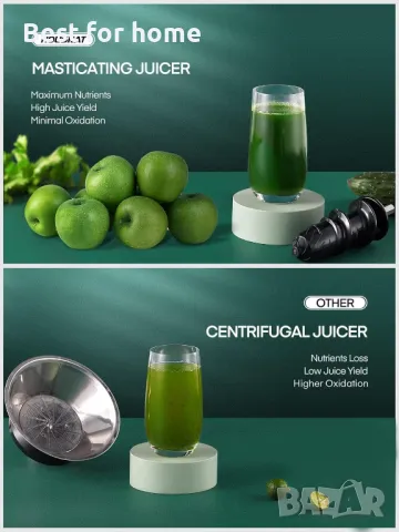 Сокоизстисквачка за студено пресоване HOUSNAT , снимка 7 - Сокоизстисквачки и цитрус преси - 49859305