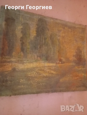 Картини стари над 20броя , снимка 7 - Картини - 53516720