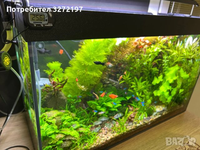 LCD електронен термометър за аквариум,водоустойчив,цифров екран, сензор контролер със сонда, снимка 7 - Оборудване за аквариуми - 43151614