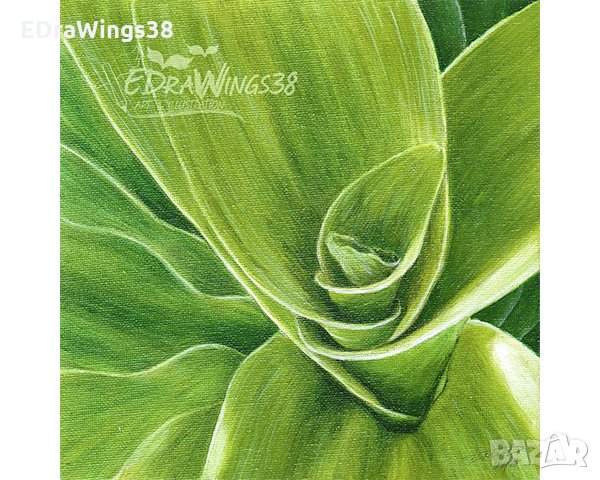 Картина "Свежест" - акрилни бои / оригинал, с рамка, снимка 5 - Картини - 25568168